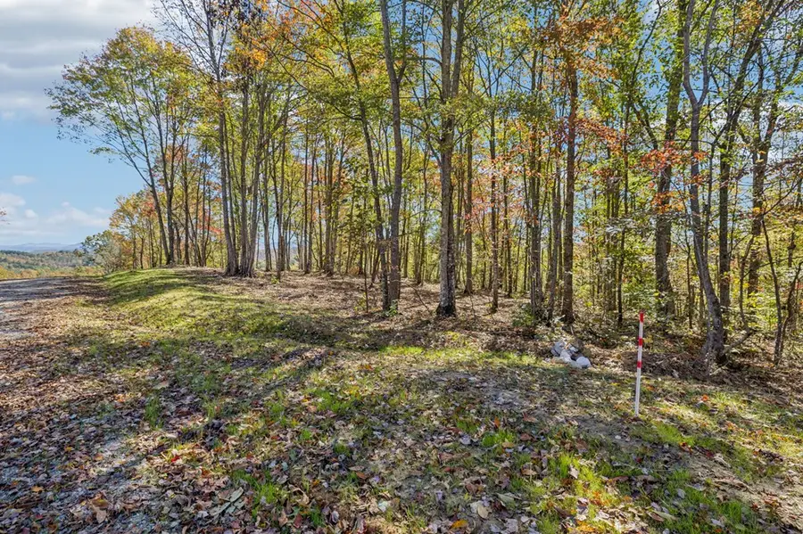 Tract 14 Off Of Sheep Ranch Road, Robbins, TN 37852 - Image #2