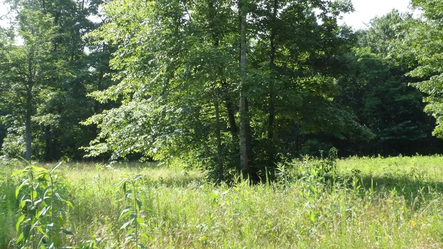 13.87ac Pleasant Cemetery Lane, Gainesboro, TN 38562 - Image #3