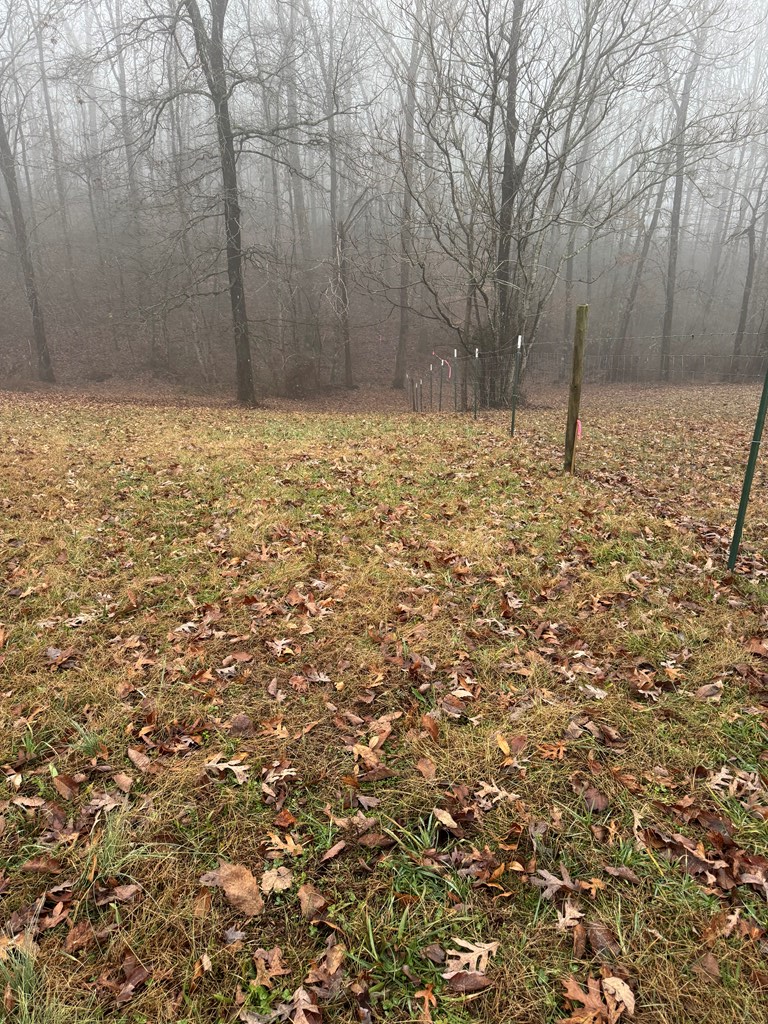 1479 Bee Rock Road, Monterey, TN 38574 - Image #3