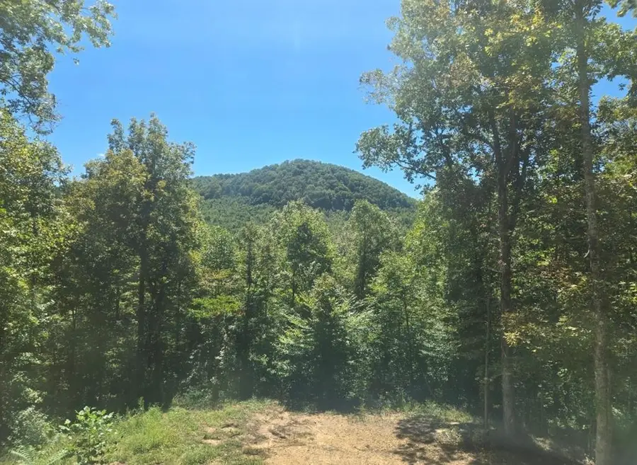 1354 East Obey Lane, Wilder, TN 38589 - Image #3