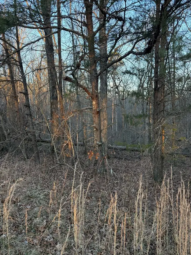 Lot 5 W Laurel Way, Monterey, TN 38574 - Image #1