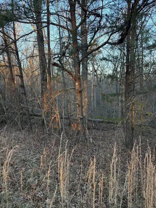 Lot 5 W Laurel Way, MONTEREY, TN 38574