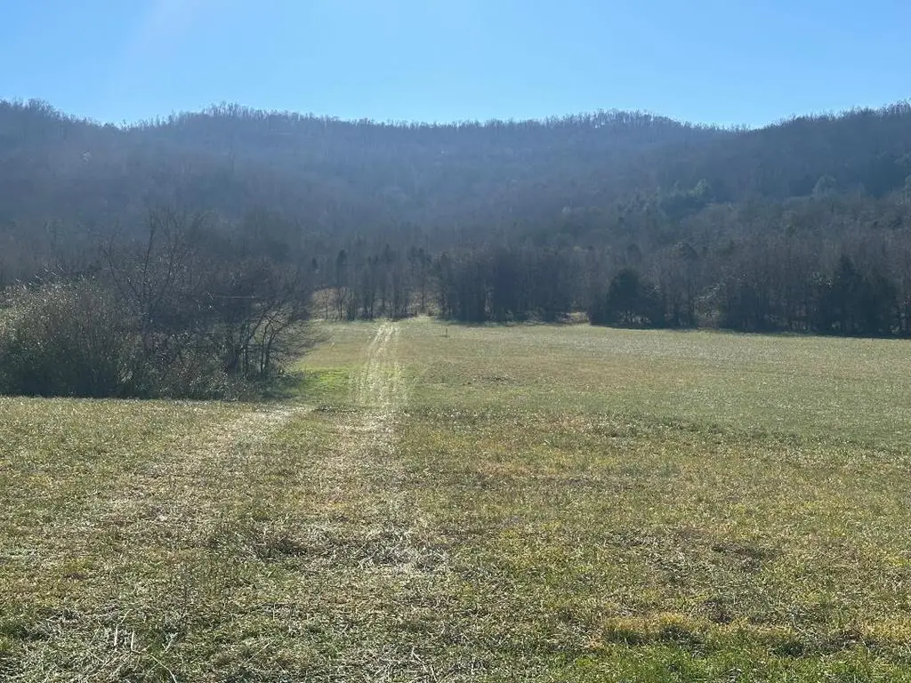 0 Cane Creek Cummingsville Rd, Sparta, TN 38583 - Image #1