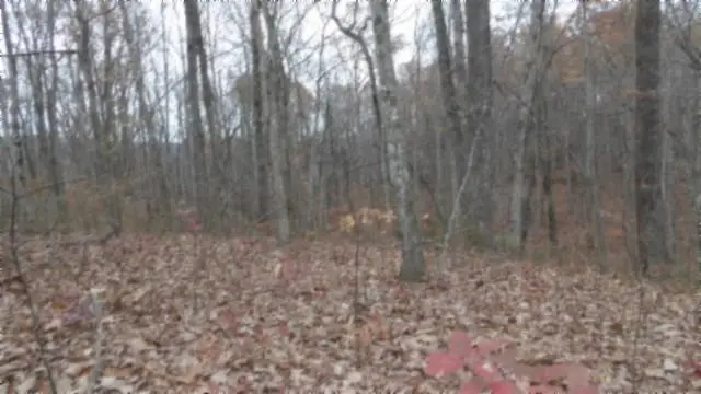 Lot 23 Cumberland Cove Rd, Monterey, TN 38574 - #1