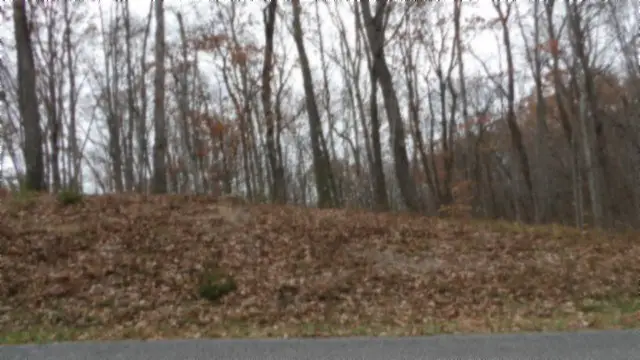 Lot 23 Cumberland Cove Rd, Monterey, TN 38574 - #3