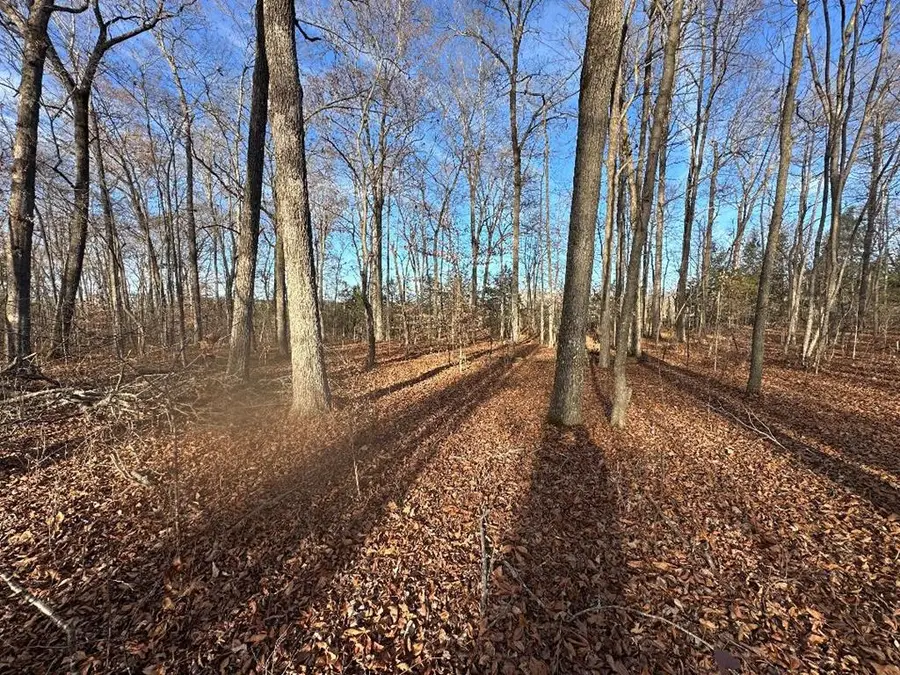 0 Arnold Thomas Rd, Silver Point, TN 38582 - Image #3