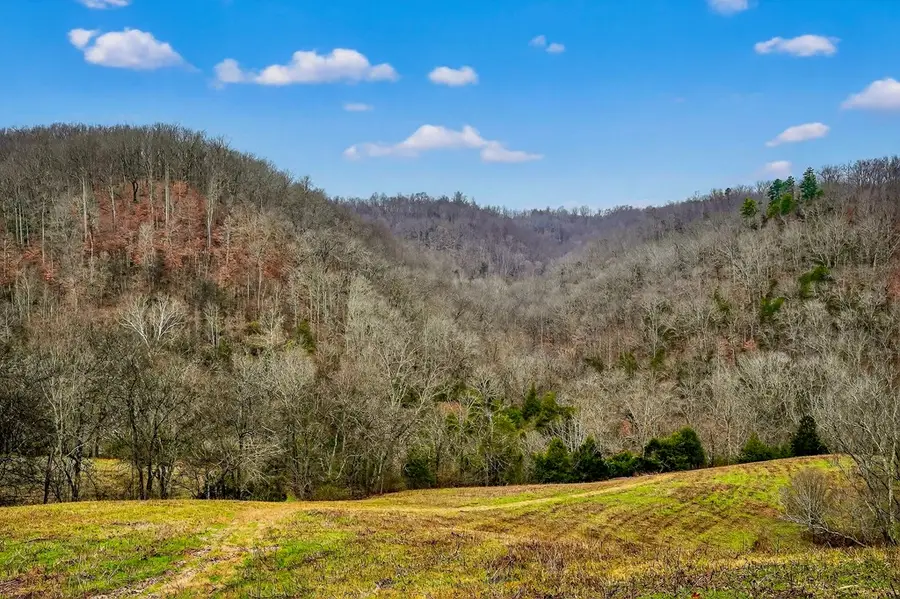 2578 Pea Ridge Rd, Liberty, TN 27095 - Image #2