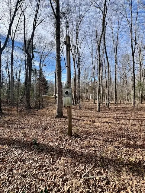 19 Royal Circle, Fairfield Glade, TN 38558 - Image #2