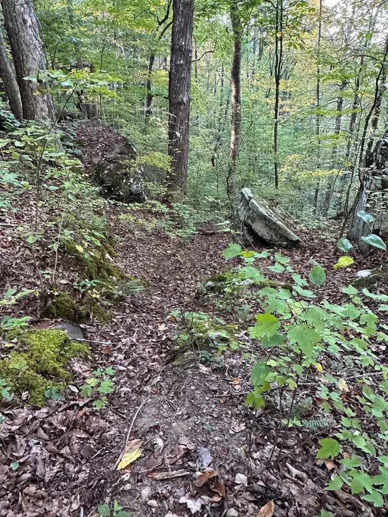 LOT 408 East Obey Lane, Wilder, TN 38589 - Image #3