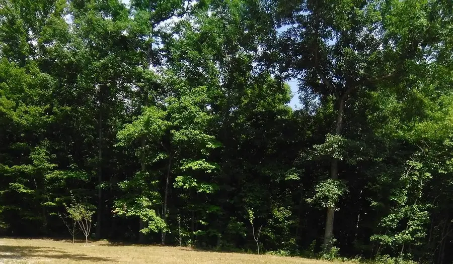 lot 340 Deep Branch, Wilder, TN 38589 - Image #3