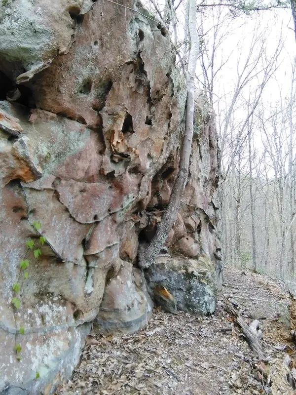 Lot 2 Buckeye Lane, Wilder, TN 38589 - Image #2