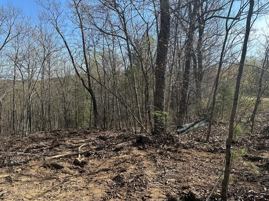 Lot 2 Buckeye Lane, Wilder, TN 38589 - Image #3
