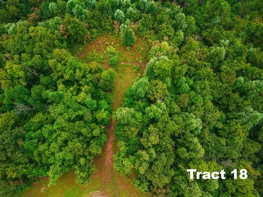 5.1ac Bear Knob Ln, Crawford, TN 38554 - #3