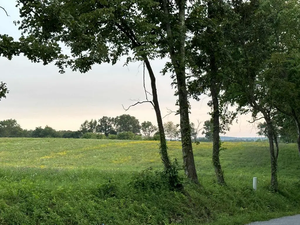 TBD Smith Mountain, Rockwood, TN 37854 - Image #1