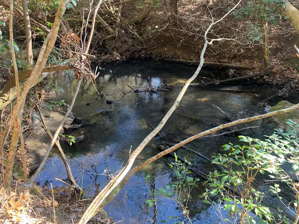 Tract 2 Lone Wolf Trail, Spencer, TN 38585 - Image #1