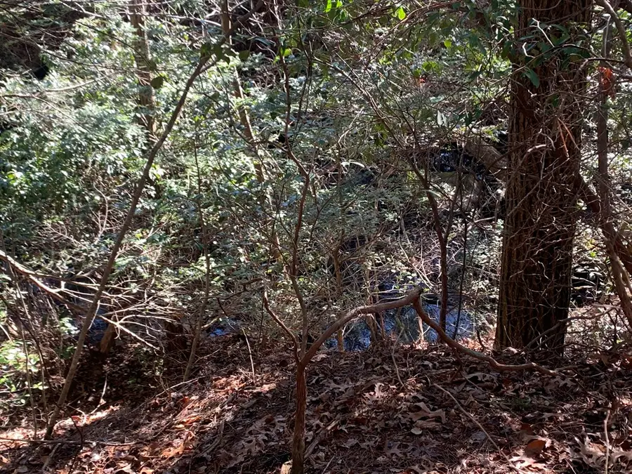 Tract 2 Lone Wolf Trail, Spencer, TN 38585 - Image #2