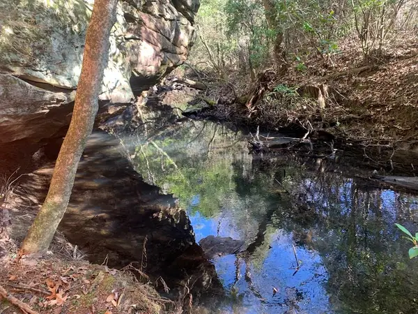 Tract 3 Lone Wolf Trail, Spencer, TN 38585