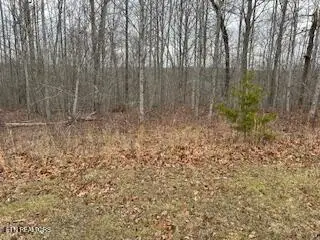 50245 ,50194, 50148 Buckeye Lane, Crawford, TN 38554 - Image #1