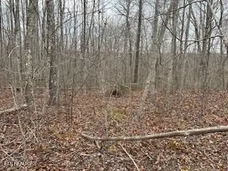 50245 ,50194, 50148 Buckeye Lane, Crawford, TN 38554 - Image #2