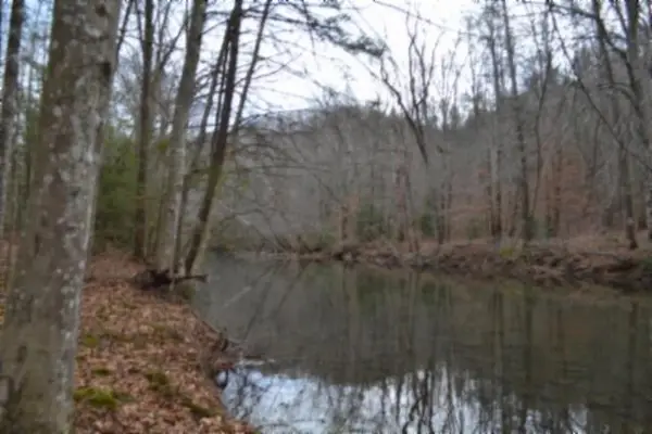 Lot 151 Steel Tram Ridge, CRAWFORD, TN 38554