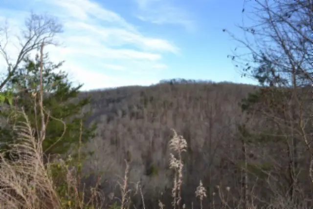 Lot 151 Steel Tram Ridge, Crawford, TN 38554 - Image #3