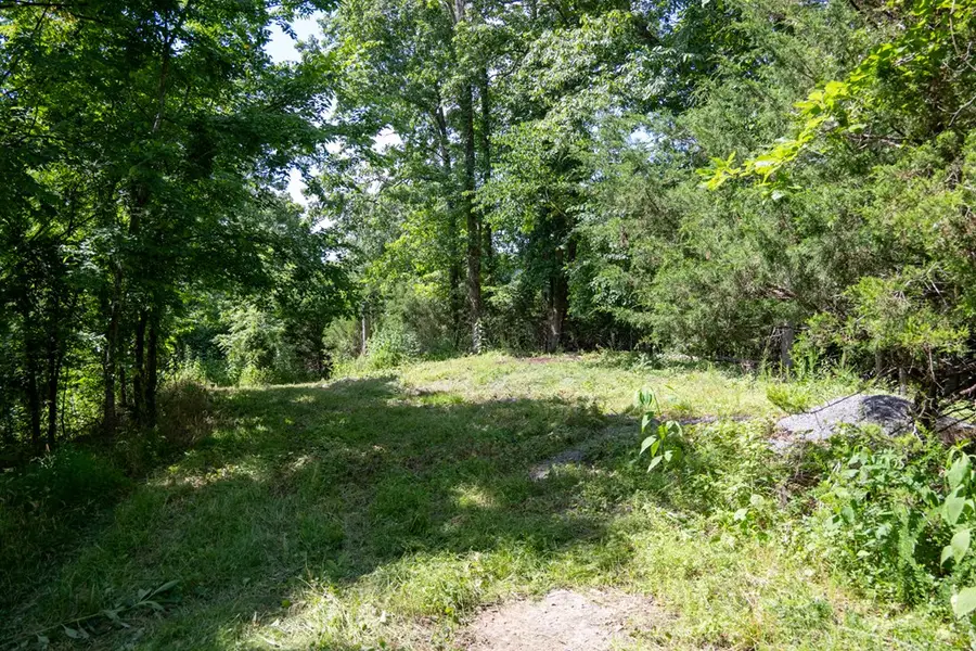 4.99 Hopkins Hollow Rd, Gainesboro, TN 38562 - Image #3