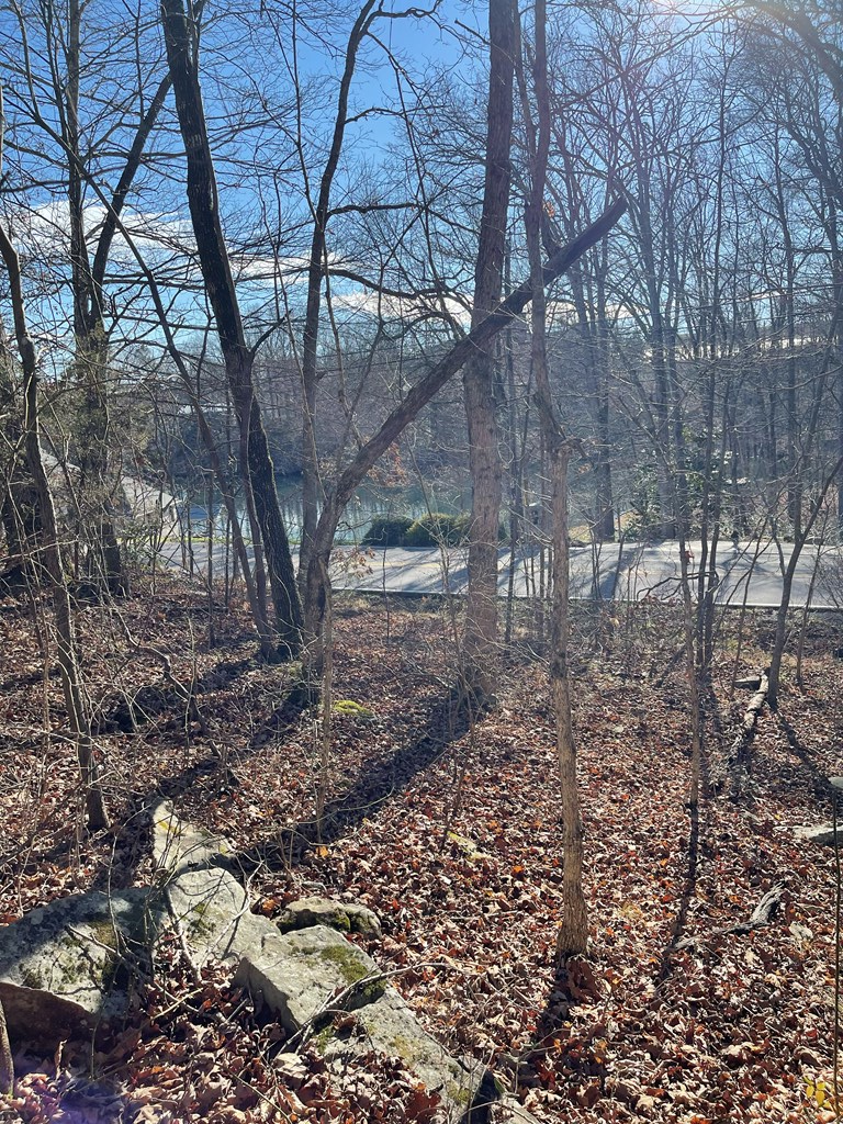 0 Waterview Dr, Crossville, TN 38555 - Image #2