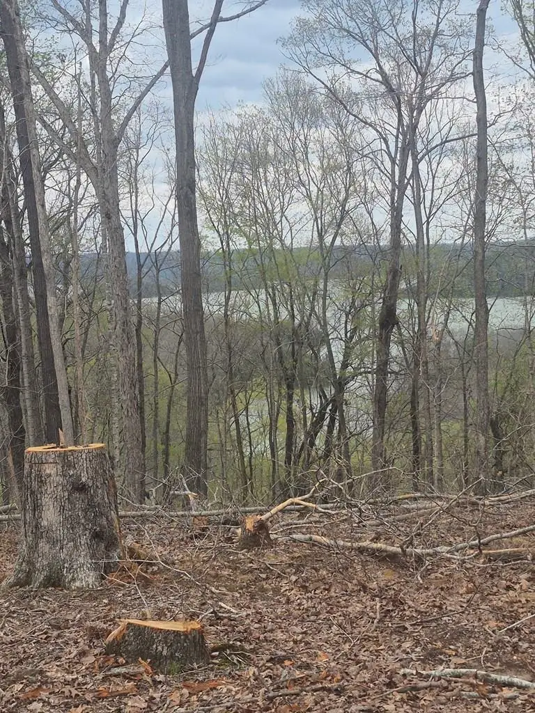 21 AC St John's Cemetery Rd, Allons, TN 38541 - Image #1