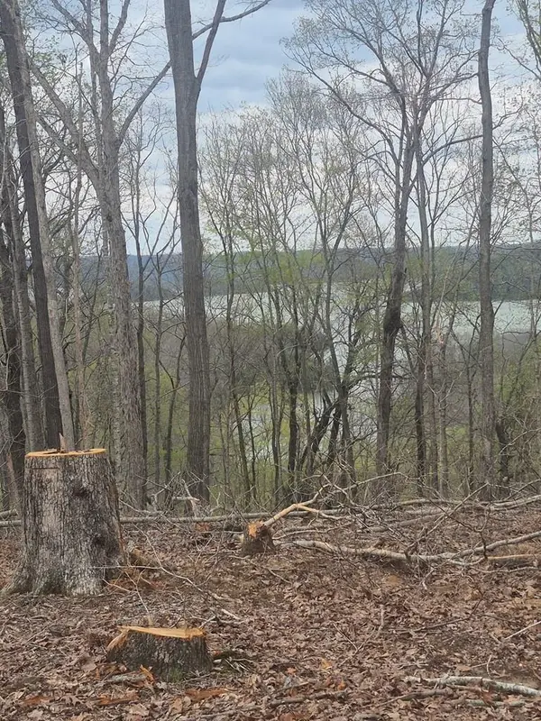 21 AC St John's Cemetery Rd, ALLONS, TN 38541