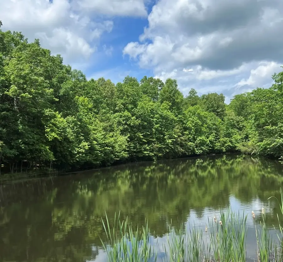 Lot 8 Cumberland Lakes Dr, Monterey, TN 38574 - Image #2