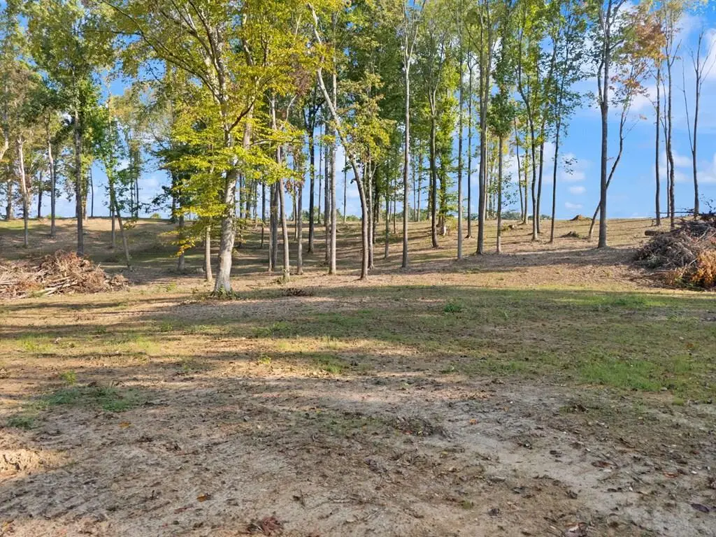 Lot 4 Summer Lane, Albany, KY 42602 - Image #1
