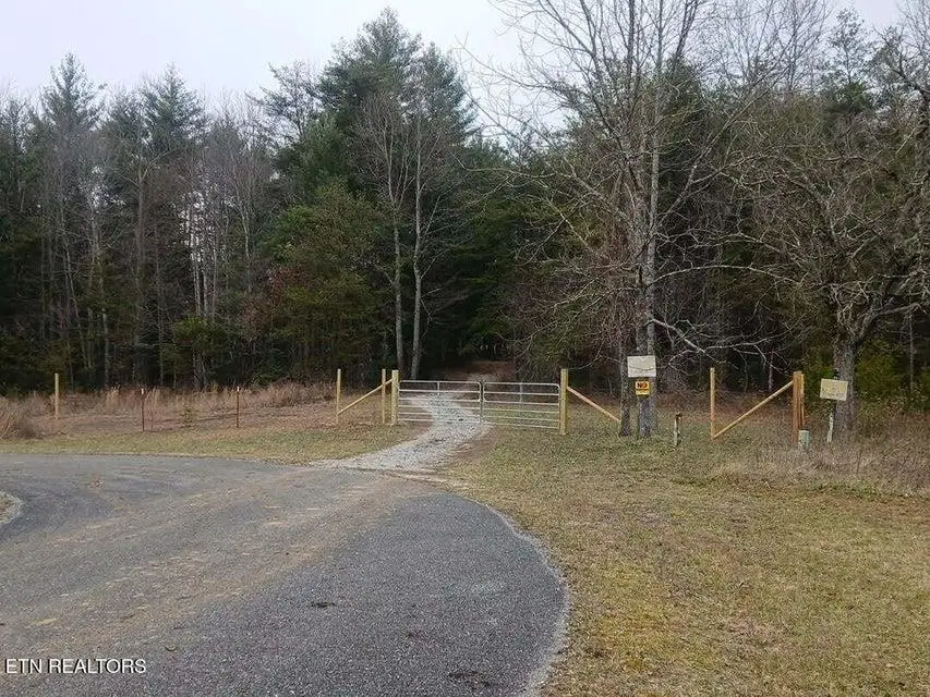 0 Wild Magnolia, Jamestown, TN 38556 - Image #1