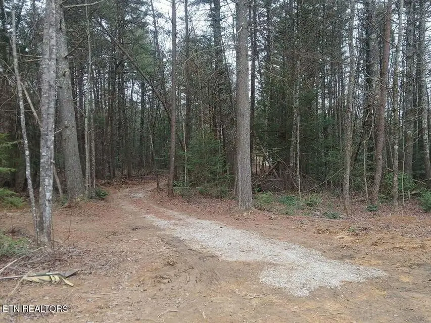 0 Wild Magnolia, Jamestown, TN 38556 - Image #2