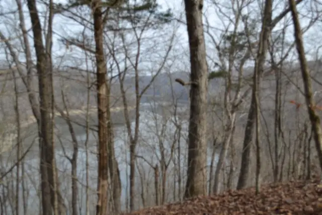 6.49ac Garrett Town Lane, Monroe, TN 38573 - Image #2