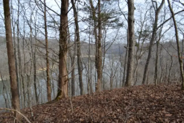 6.49ac Garrett Town Lane, Monroe, TN 38573 - Image #3