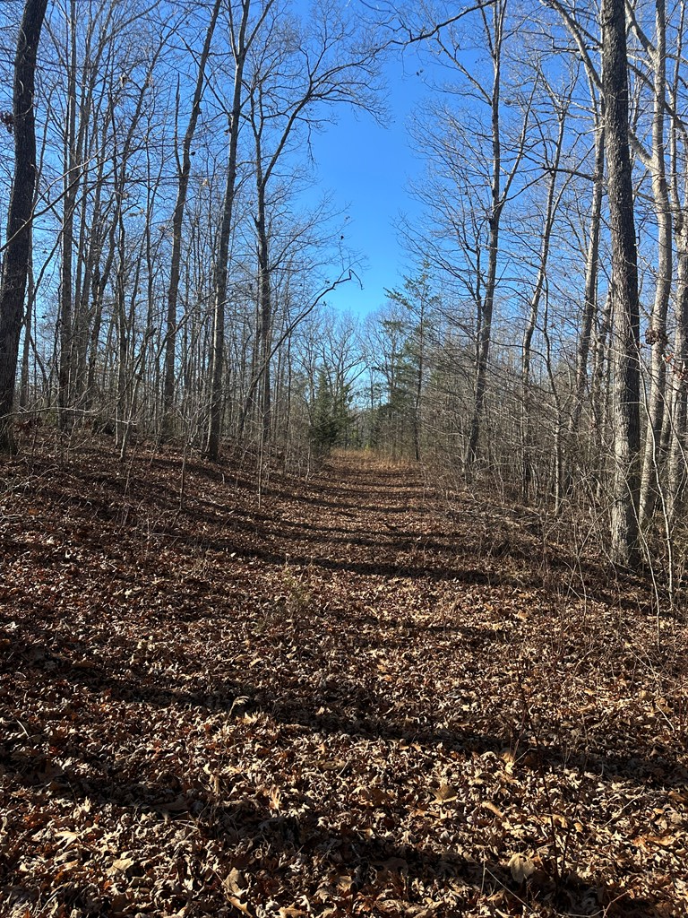 250 Haven Lane, Crawford, TN 38554 - Image #2