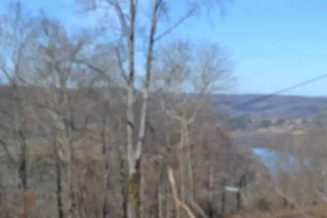 5ac Schelley Rd, Gainesboro, TN 38562 - Image #3