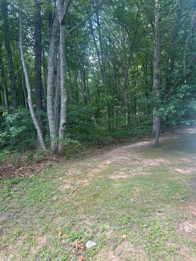 0 Huckleberry Dr, Jamestown, TN 38556 - Image #2