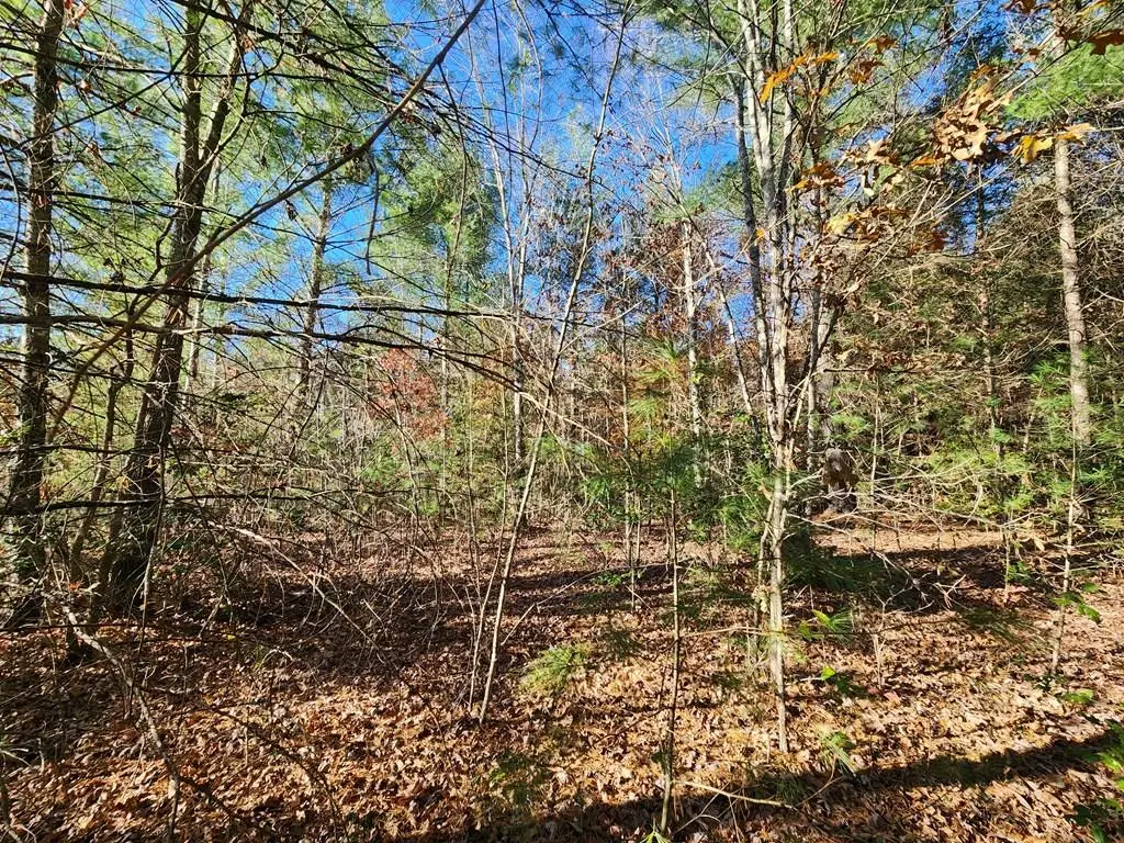 Lot 25 Shotgun Annie Rd, Jamestown, TN 38556 - #1