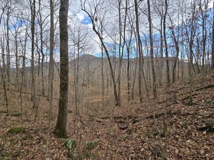 1029 E Obey, Wilder, TN 38589 - Image #2