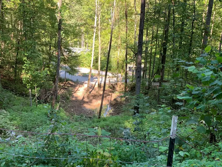 1029 E Obey, Wilder, TN 38589 - Image #3