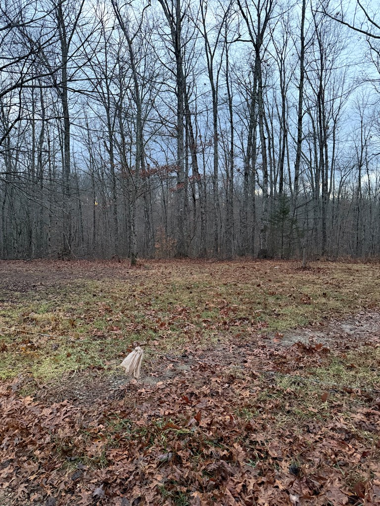 00 Viola Dr., Sparta, TN 38583 - Image #2