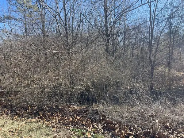 0 Livesay Street, CROSSVILLE, TN 38555