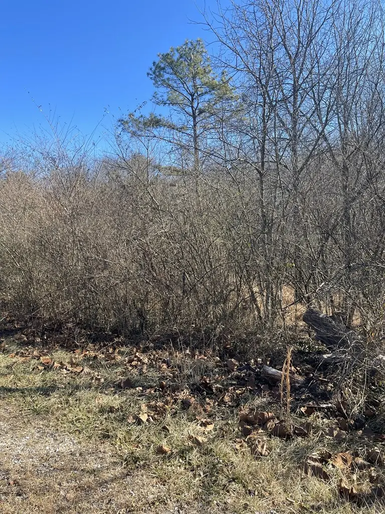 0 Livesay Street, Crossville, TN 38555 - Image #2