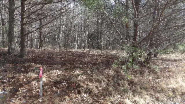 Lot 185 Meadow Lane, Spencer, TN 38585 - Image #1