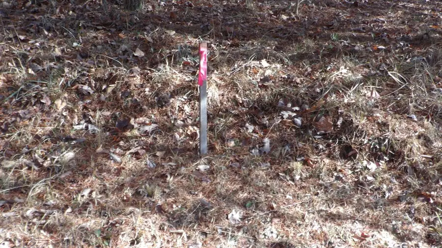 Lot 185 Meadow Lane, Spencer, TN 38585 - Image #2