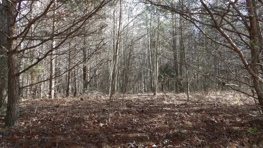 Lot 185 Meadow Lane, Spencer, TN 38585 - Image #3