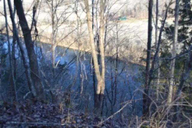 5.52ac Cabin Hill Rd, Celina, TN 38551 - Image #1