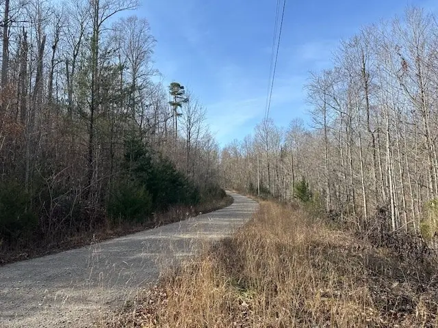 Lot 52 W Bobcat Ln, Wilder, TN 38589 - Image #2