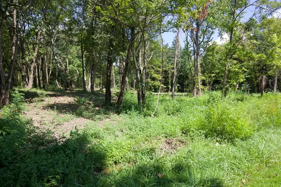 204 Vandy Circle, Sparta, TN 38583 - Image #2